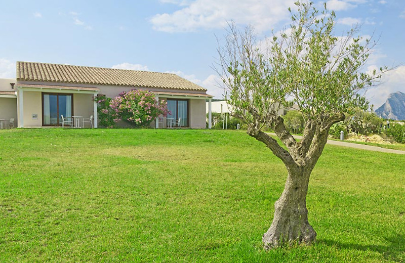 Grande Baia Resort&spa 4* San Teodoro (Sardinia)